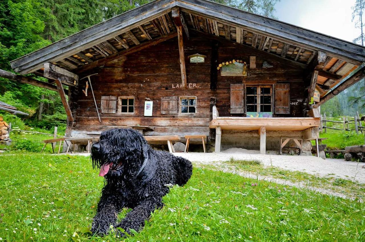 Pension Greti Schönau am Königssee Zewnętrze zdjęcie